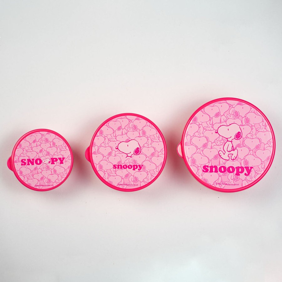 MINISO Bento Box Snoopy | Storage Box & Organizer